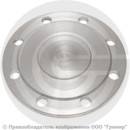 Заглушка фланцевая 1-125-40-Ст.20 ГОСТ 34785-21