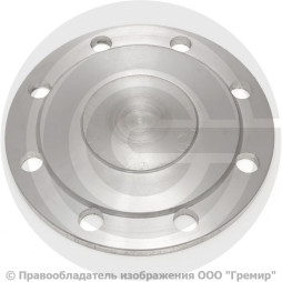 Заглушка фланцевая 1-100-6,3-09Г2С ГОСТ 34785-21